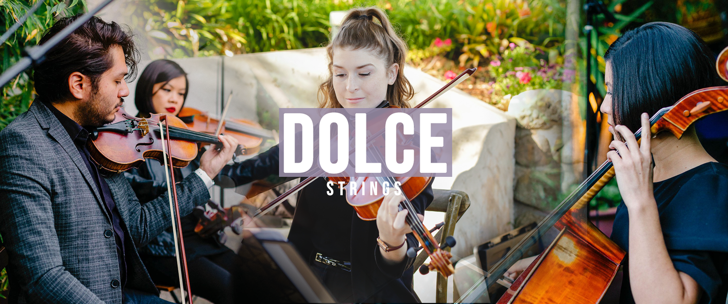 Dolce string musicians performing outdoors.