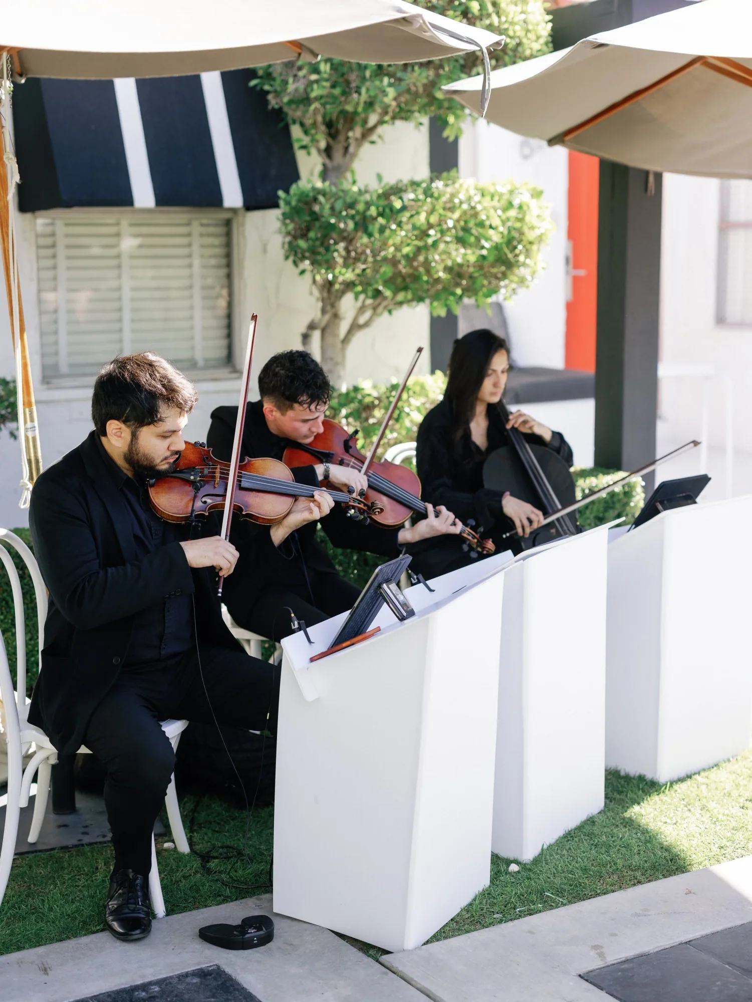 String musicians performing during the outdoor ceremony.