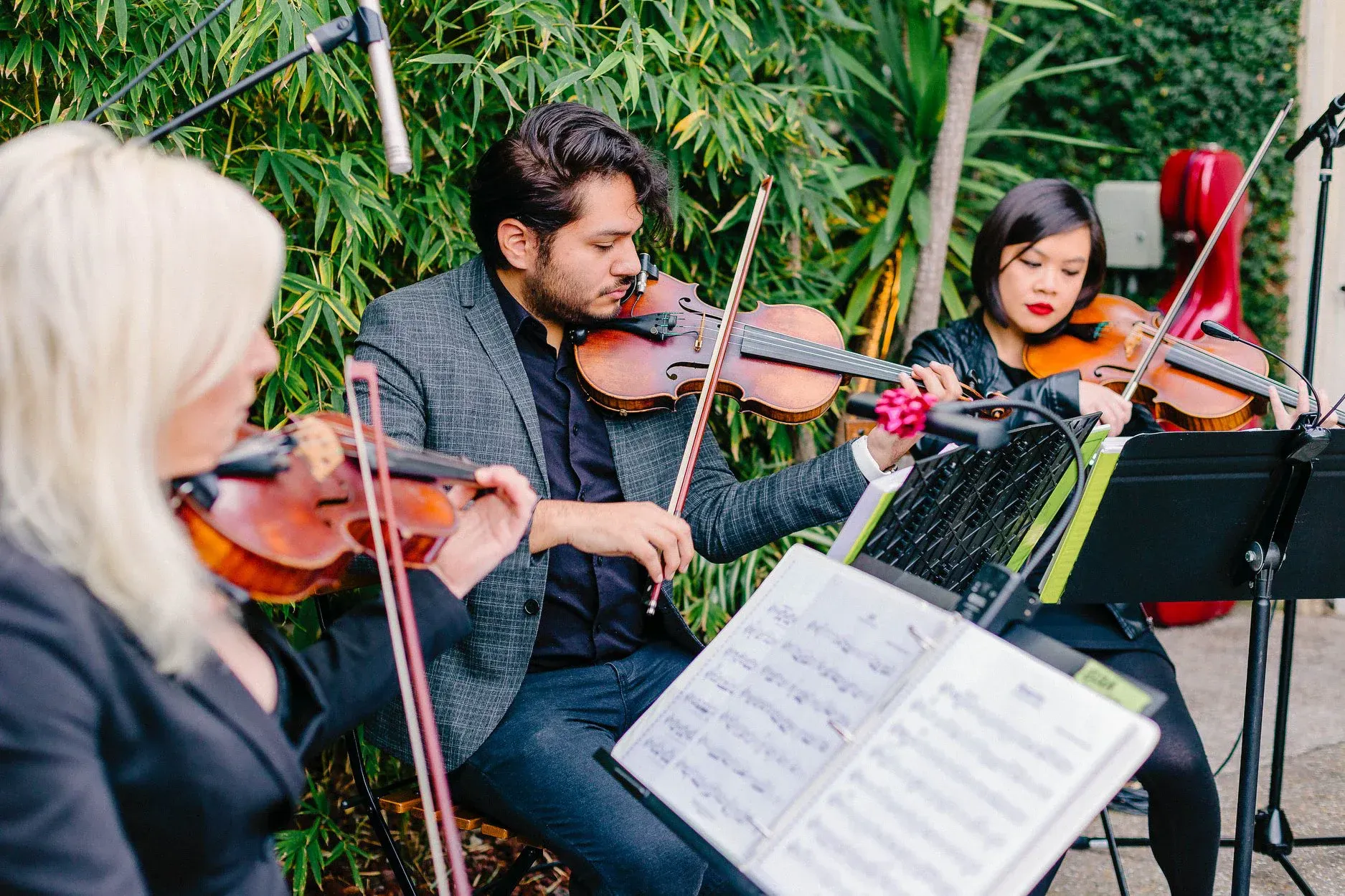Three violinists performing outdoors among greenery.